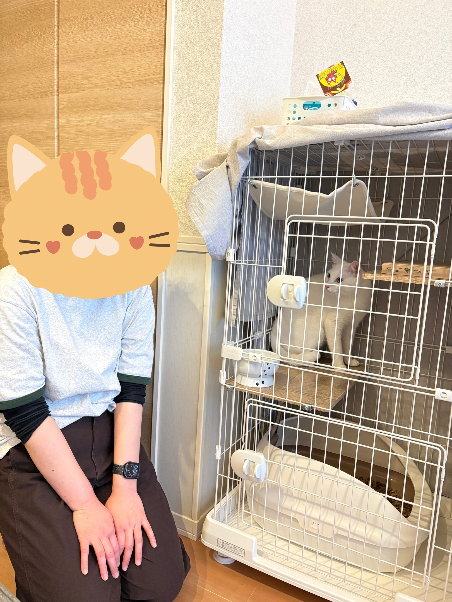 ぺろたん様専用です 専用ラベルロール2個セット | 3COINS ぺろたん様専用です 専用ラベルロール2個セット | 3COINS