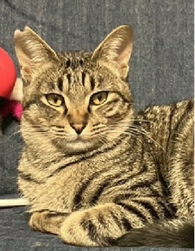 グリ【大阪TNTA部】