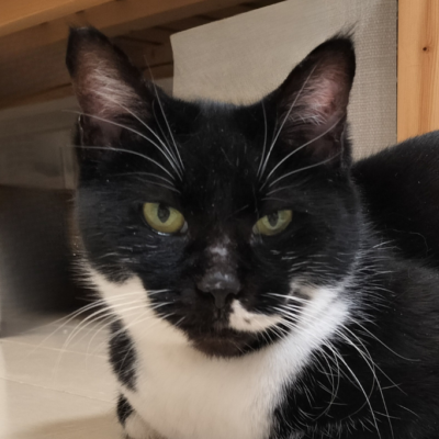 ノア🍎【池袋】