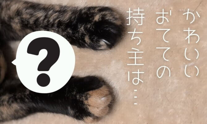 【大阪ねこ浴場】ゆったりタイム♨️お手々を伸ばしているのは…