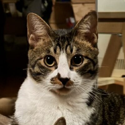 サクレ【大阪TNTA部】➡モカ