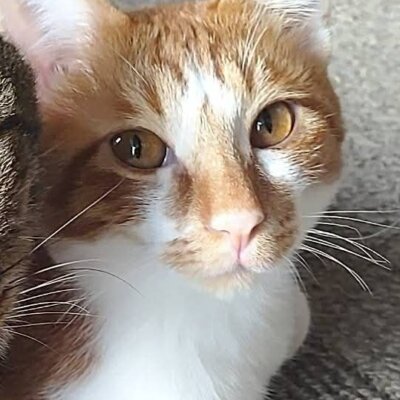 ピノ【大阪TNTA部】