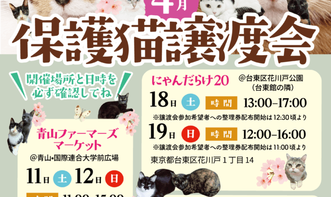 🐾ボクたち・アタシたちに会いに来て！4月の東京保護猫譲渡会のお知らせだよ🐾