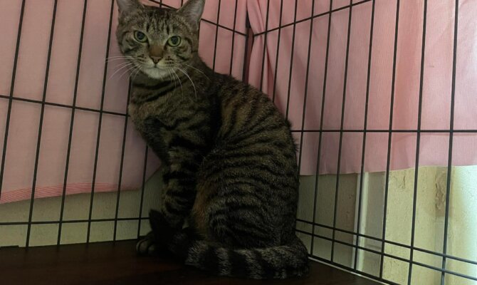 【お茶の水店】~クリムゾンスマッシュ~