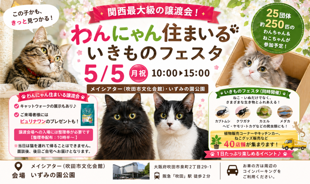 ２０２６年５月５日猫の譲渡会