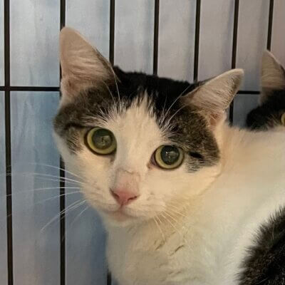 ヨーエン【高円寺】