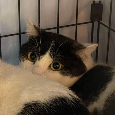 オンワ【高円寺】