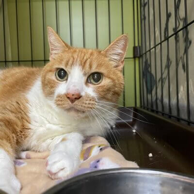 カク・ミンミン【高円寺】