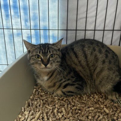 月　ゆず【高円寺】