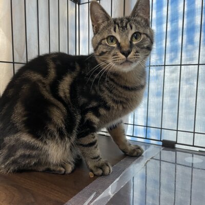 月　ぽんず【高円寺】