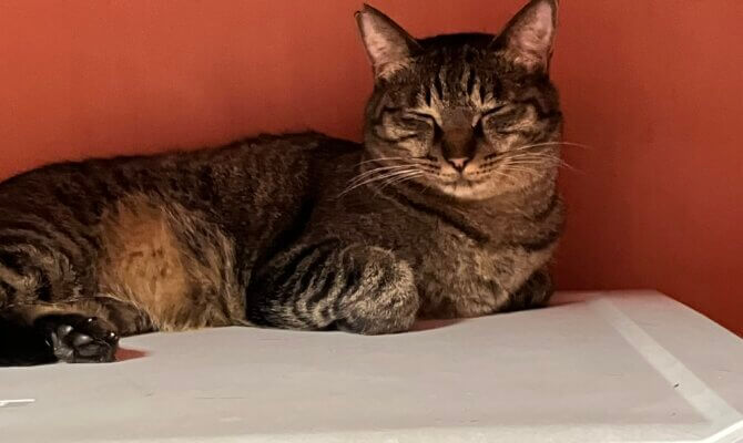 【お茶の水】〜菊正宗清四郎〜