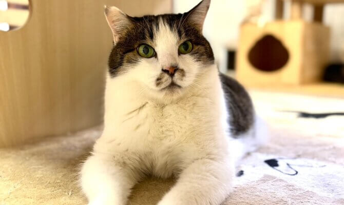 【お茶の水】〜おいたん〜