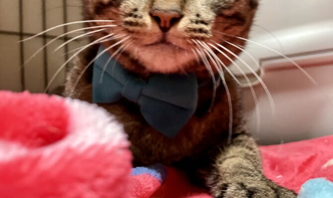 【お茶の水】〜クリムゾンスマッシュ〜