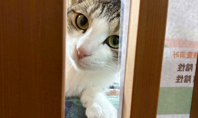 【お茶の水】〜ドリームライナー〜