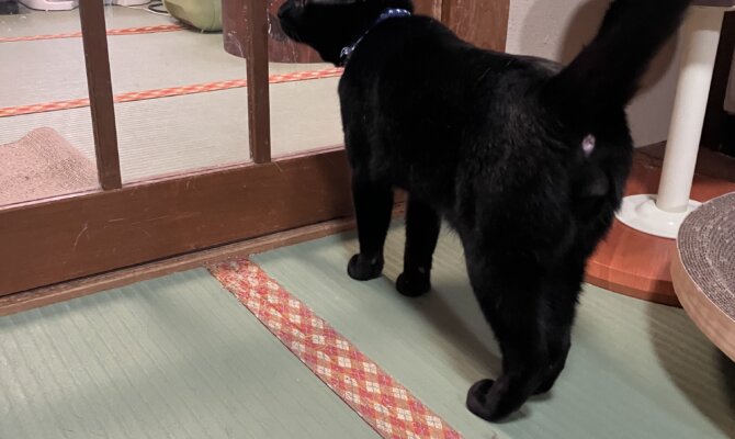 【お茶の水】〜ブラックバード〜