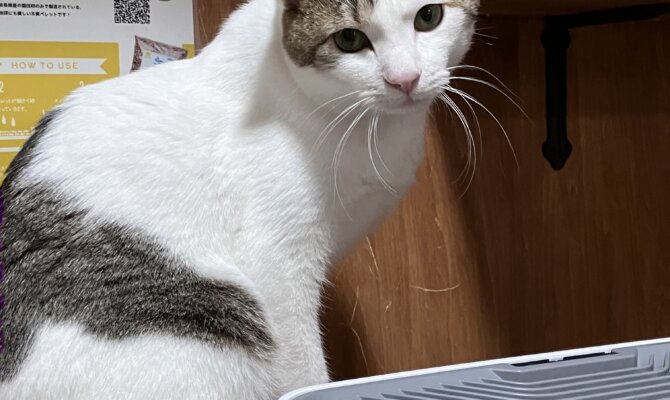 【お茶の水】〜ジェットスター〜