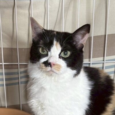 もんじゃ【岐阜店】