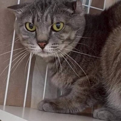 よせ【岐阜店】