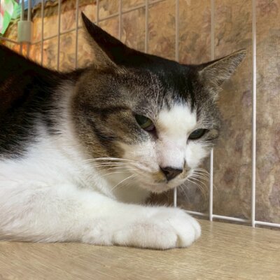 おから【ちびびの森シェルター】