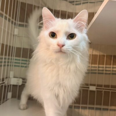 みぽりん【岐阜店】