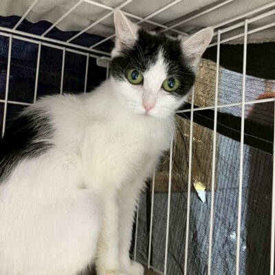 むむ子【ちびびの森シェルター】