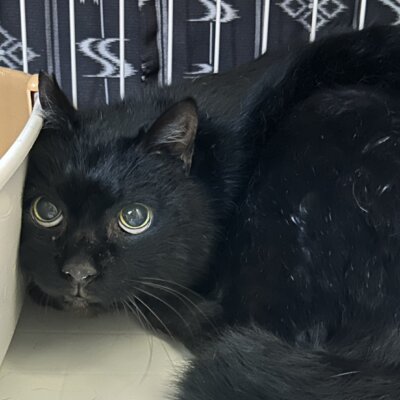 ビンゴ【岐阜店】