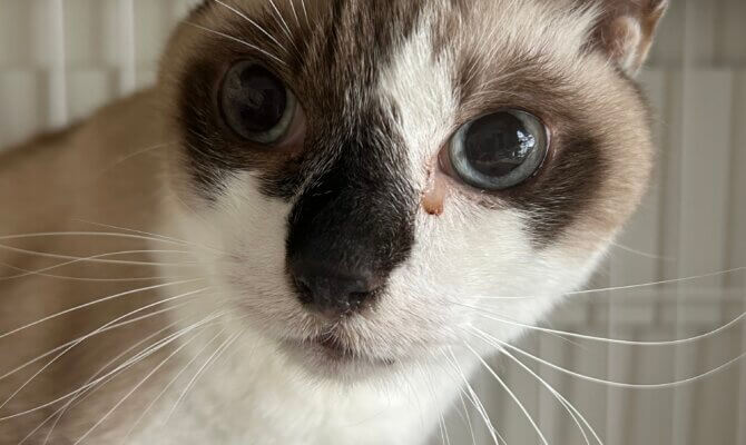 ユリ雄、トライアルへ出発です‼️