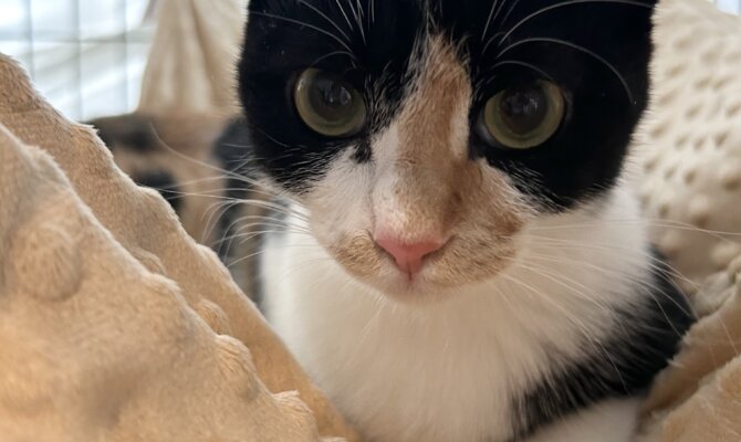 チキンラーメン＆摎(きょう)仲良くトライアル開始です‼️