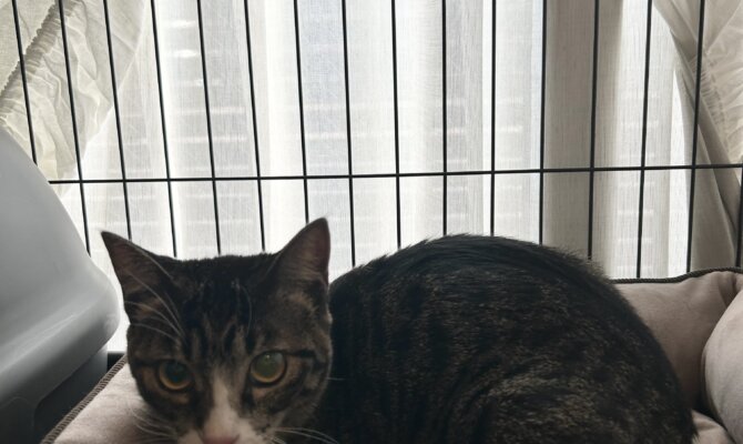 チキンラーメン＆摎(きょう)仲良くトライアル開始です‼️