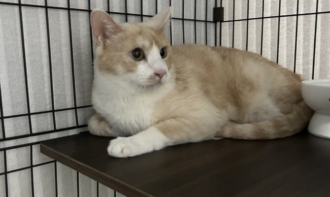 おこげ＆ビーが一緒にトライアル開始です‼️