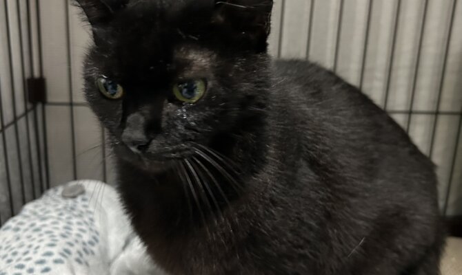 おこげ＆ビーが一緒にトライアル開始です‼️