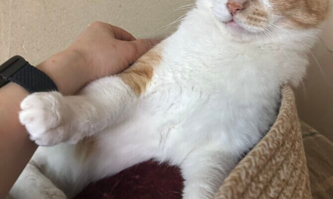 【お茶の水】〜やぎん〜