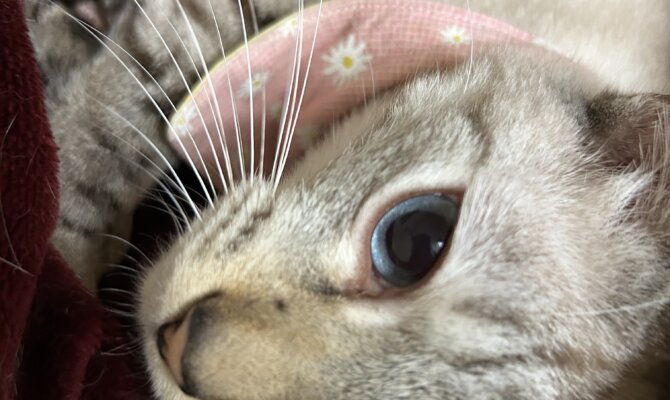 【お茶の水】〜しお丸〜