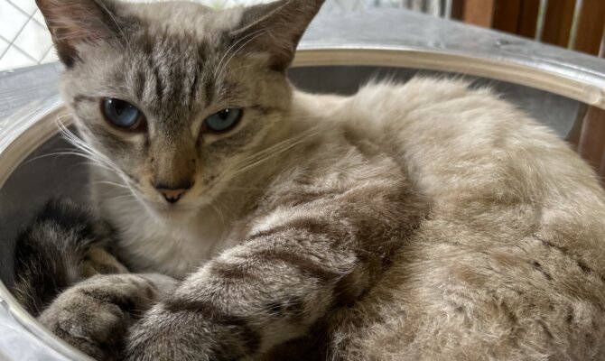 【お茶の水】〜しお丸〜