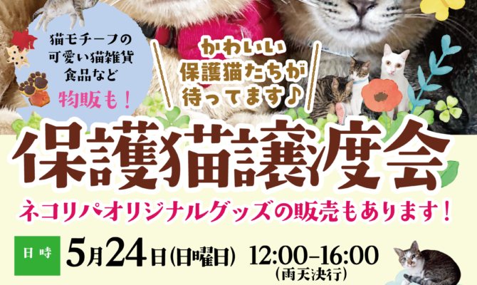 保護猫を家族に！5月の東京譲渡会🎉