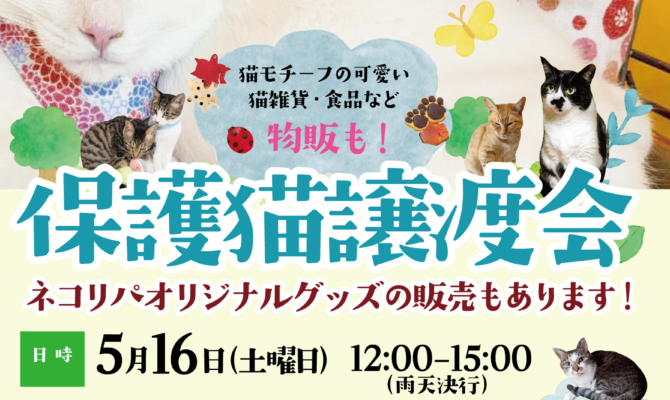 保護猫を家族に！春の譲渡会inオリンピック小金井店🎉
