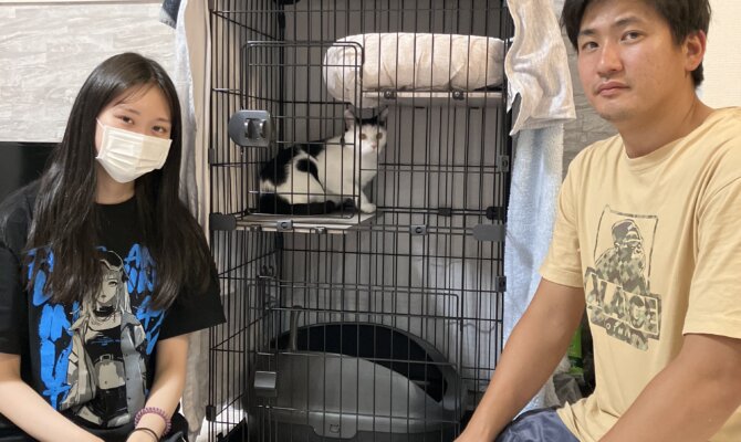 【トライアルへ出発】第二の猫生を歩み始めたチョビジュ🚗³₃