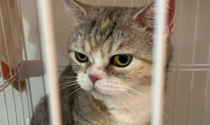 まんまるマドンナがトライアルへ出発です‼️