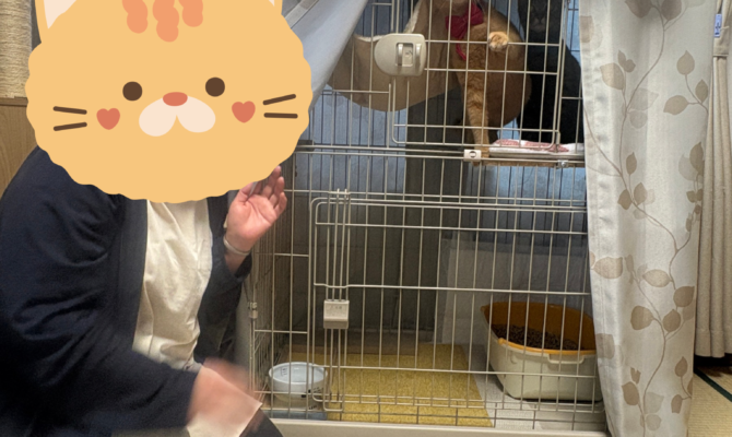 【トライアルへ出発】マイティキック＆クリムゾンスマッシュ🚗³₃