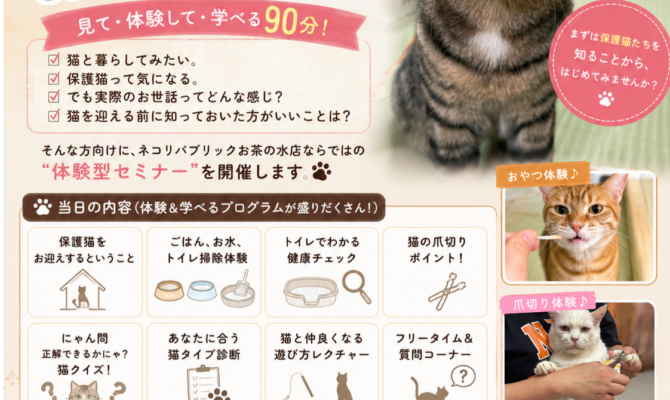 😻にゃんこと学ぶ！🐾保護ネコお世話体験✨
