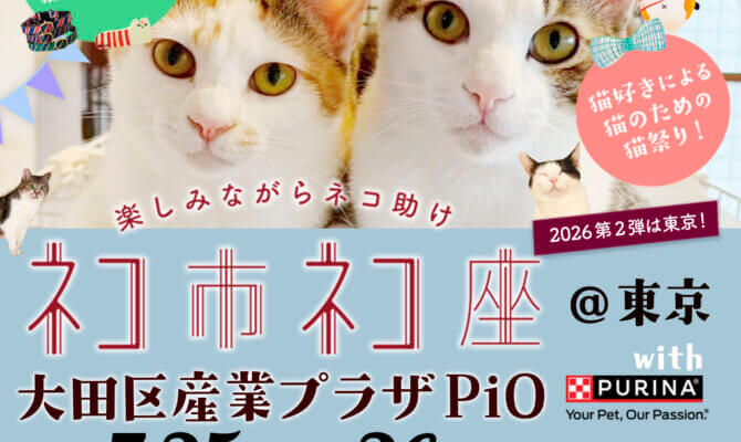 「ネコ市ネコ座」東京で開催！中川翔子・みりちゃむ・敦士ら“ガチの保護猫愛好家”も参戦。