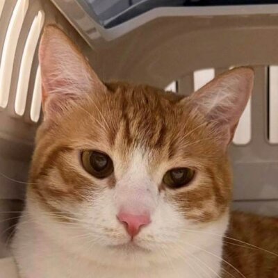うるち【池袋】