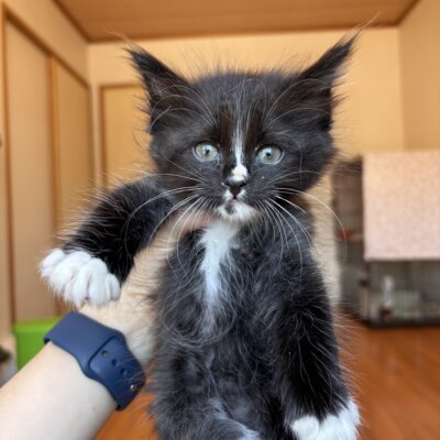 シェリ【飛騨】