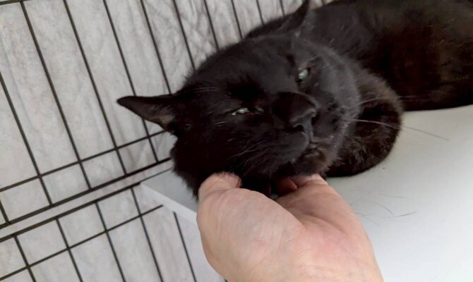 【藤ビスコッティ、トライアルへ出発しました🐾】 