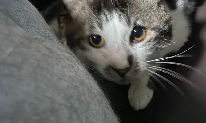 【お茶の水】〜こんきち〜