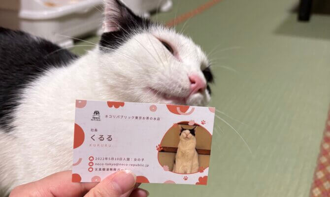 【お茶の水】~くるる~