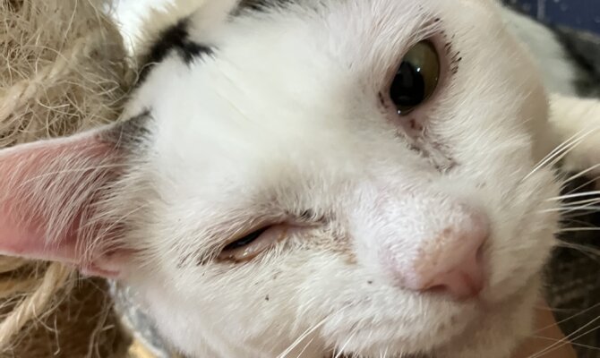 【お茶の水】〜とっとり〜