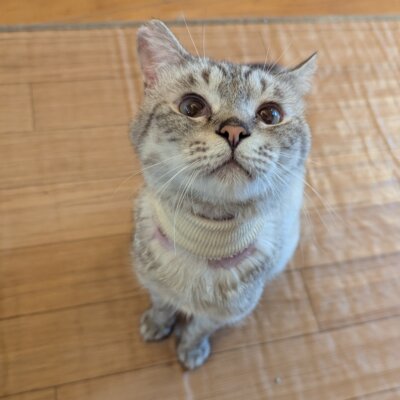 くらま【ちびびの森シェルター】