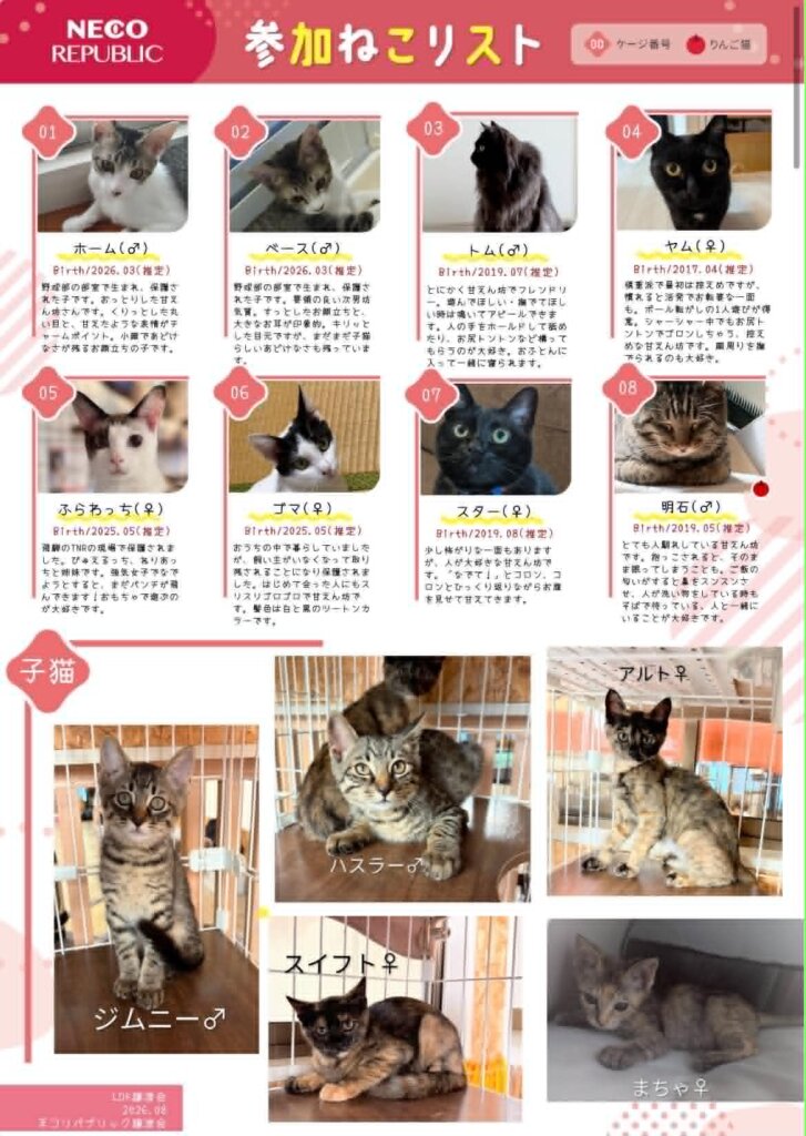 2026年8月30日猫の譲渡会に参加猫一覧
