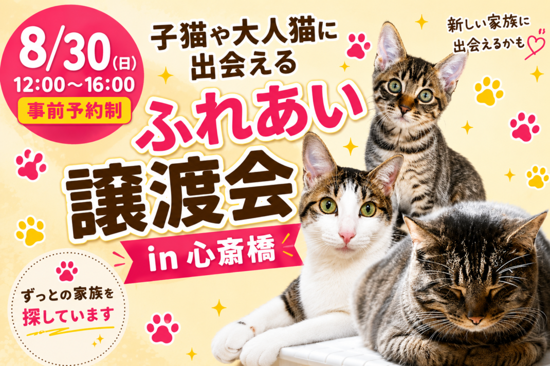 2026年8月30日開催!保護猫譲渡会IN心斎橋